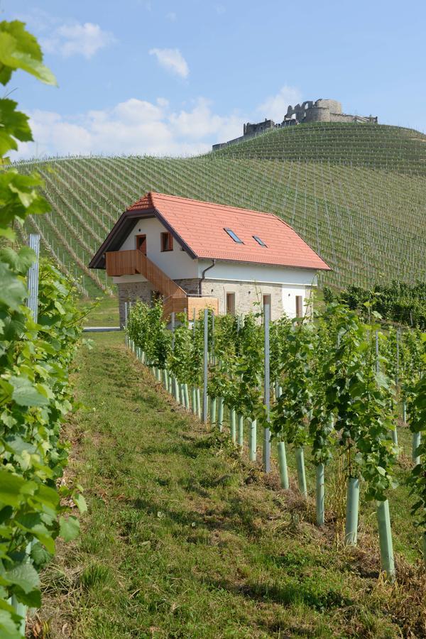 Отель Weingut Taggenbrunn Санкт-Файт-ан-дер-Глан Экстерьер фото