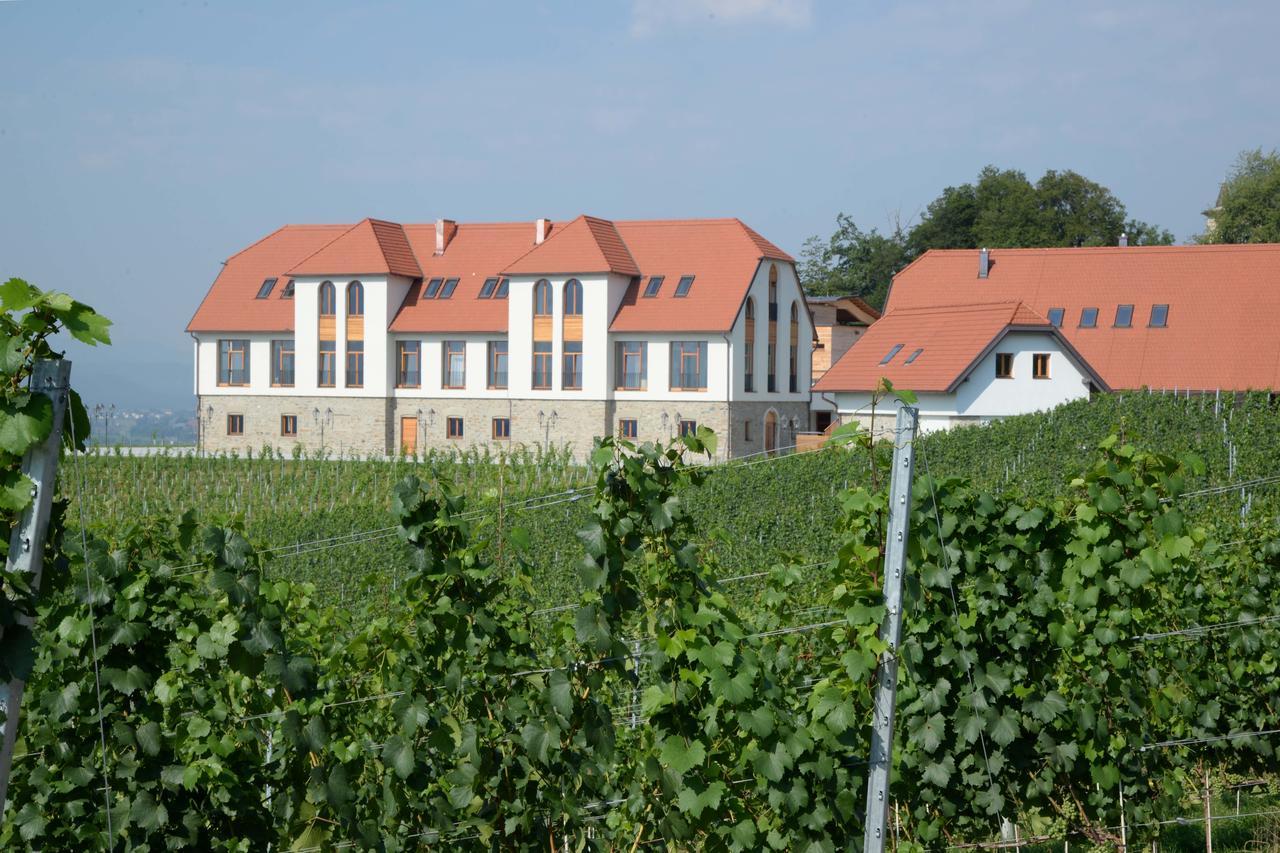 Отель Weingut Taggenbrunn Санкт-Файт-ан-дер-Глан Экстерьер фото