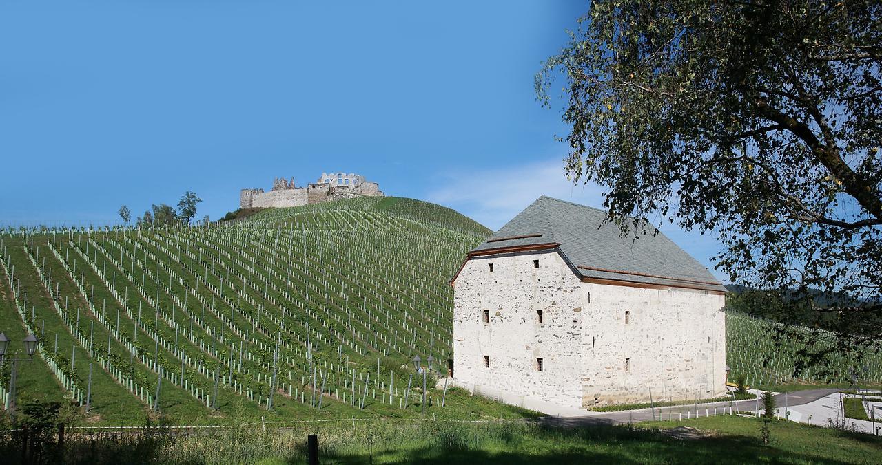 Отель Weingut Taggenbrunn Санкт-Файт-ан-дер-Глан Экстерьер фото